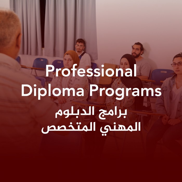 Professional Diploma Programs