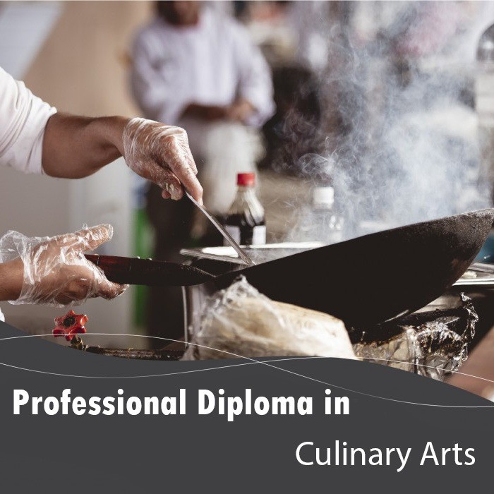 Professional Diploma in Culinary Arts 